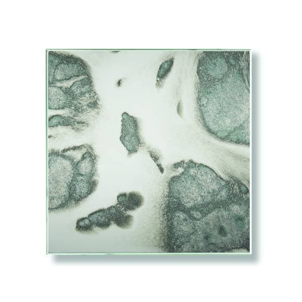 65 - CAROUSEL - Carousel