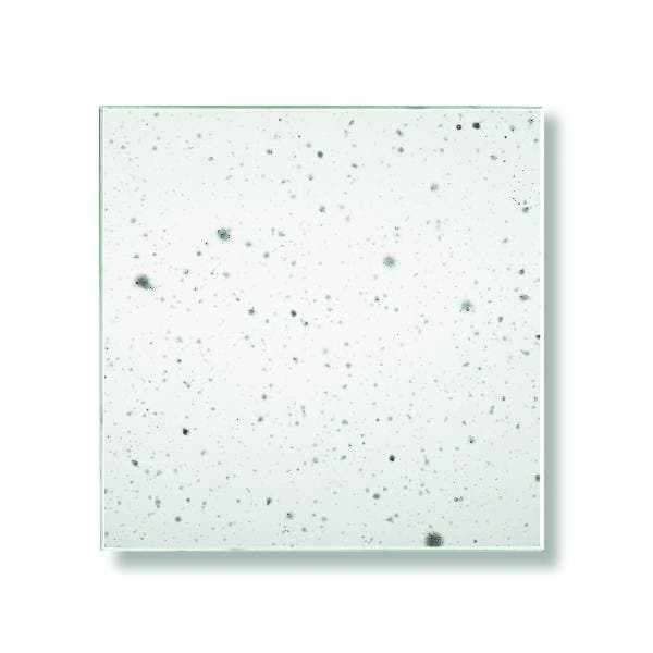 56 - DRIZZLE - Drizzle